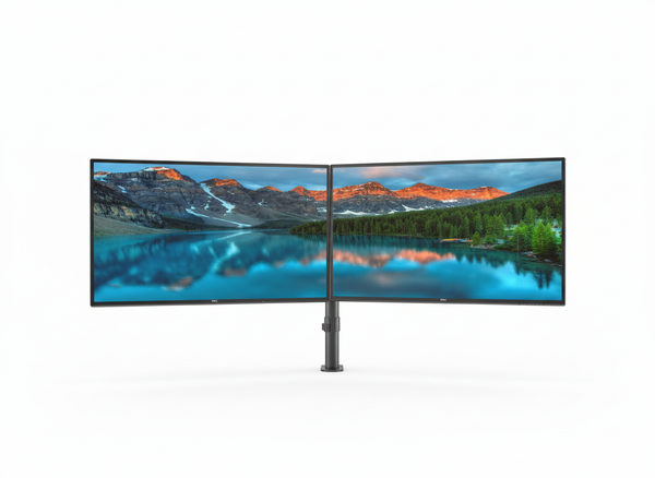 Dual Monitor Bundles
