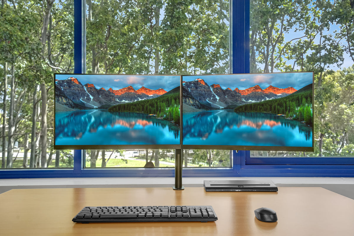 HP E243 Dual Monitor Bundle