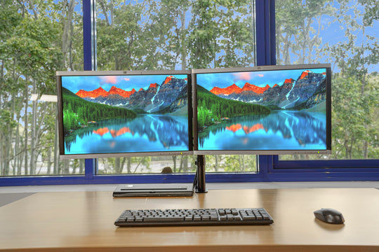 HP LA2205wg 22" Dual Monitor Bundle with Adjustable Arm & Cables (Refurbished)