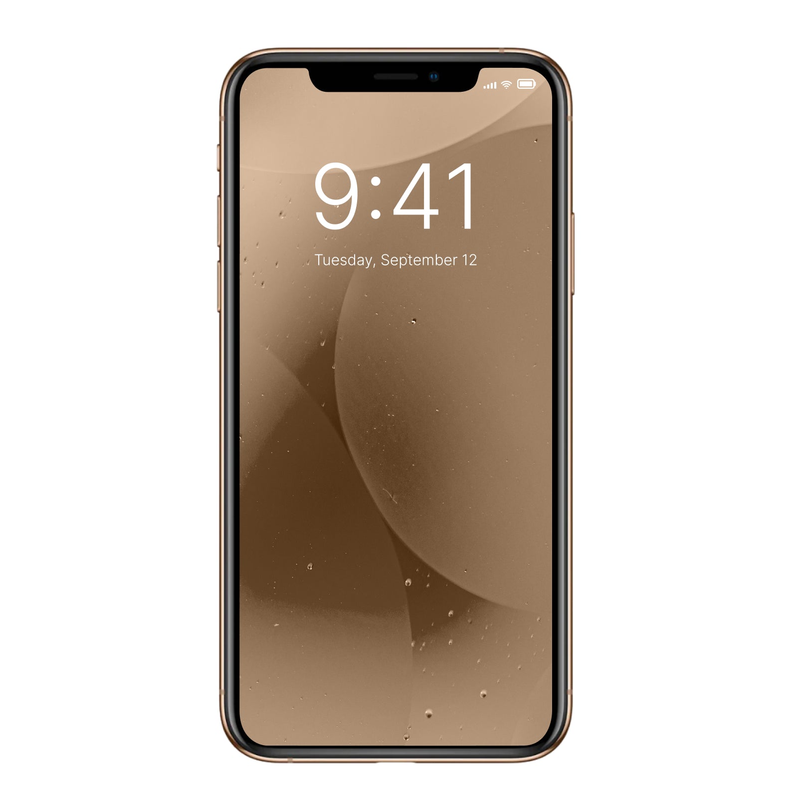 Apple iPhone XS Max 64GB Gold Unlocked Smartphone