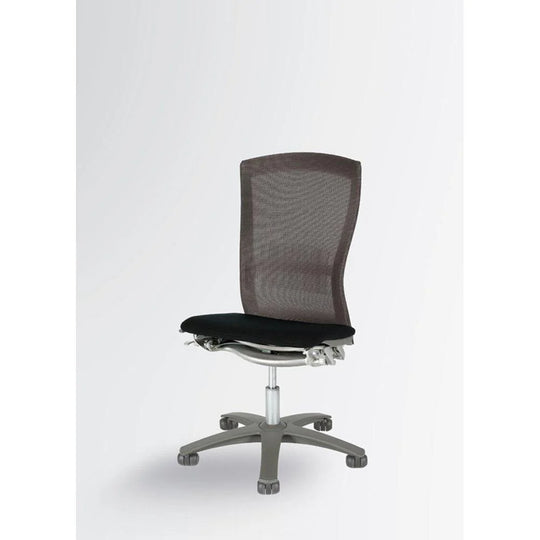 'Life' Ergonomic Officechair by Formway (Used)