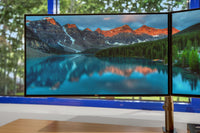 Dell UltraSharp U2520D 25" 2K QHD Dual Monitor Bundle with Arm & Cables (Refurbished)